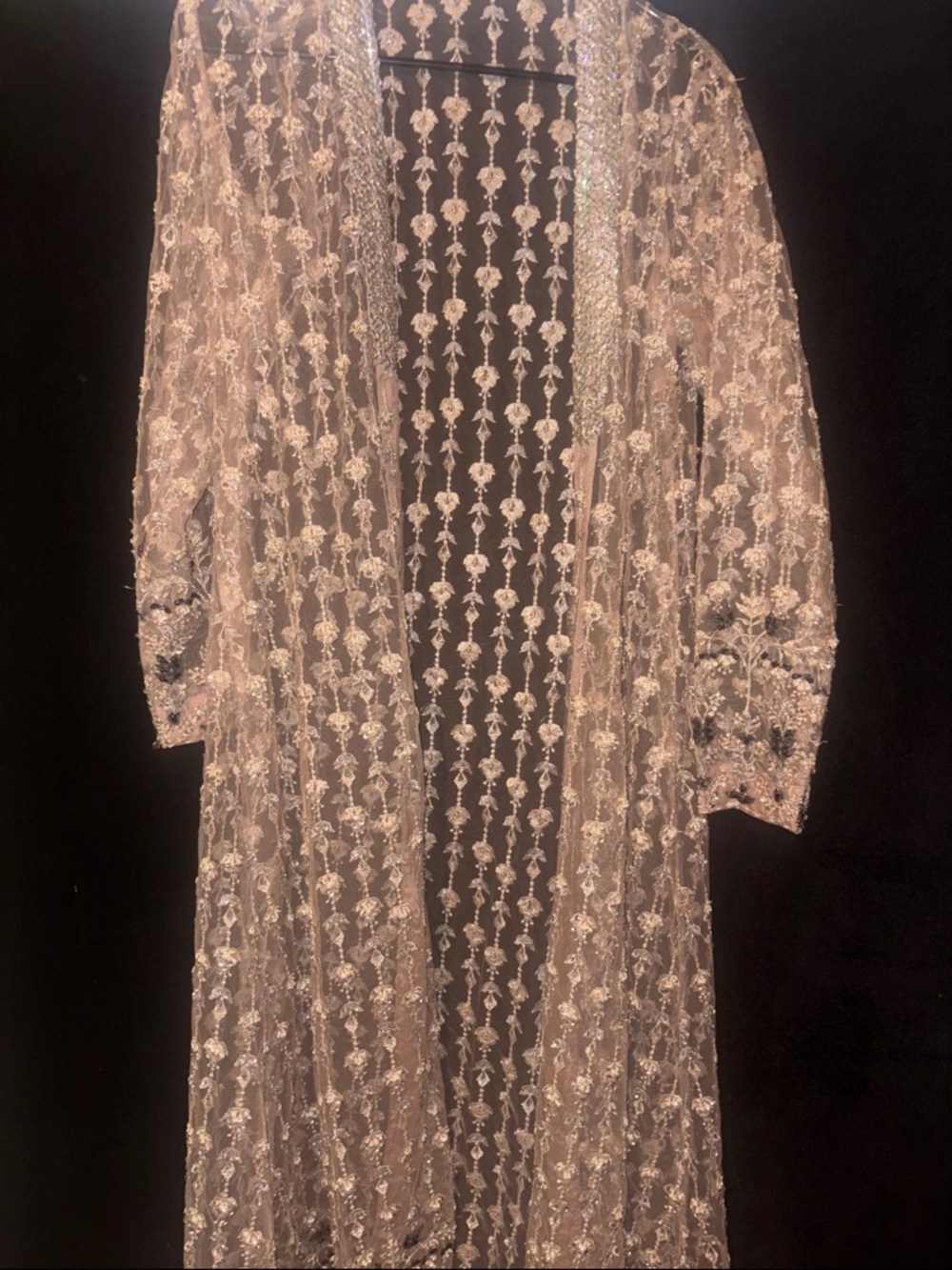 Embellished Sheer Long Robe in Blush with Silver Accents